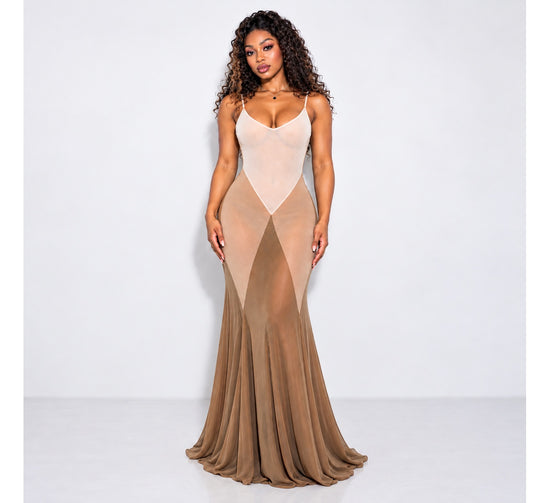 Sheer Mesh Mermaid Maxi Dress